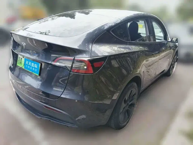 Tesla Model Y — Фото автомобиля 2
