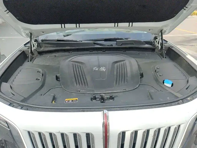 Hongqi Hongqi E-HS9 2022 660km Qi Ling Edition (4-seater) — Фото автомобиля 21