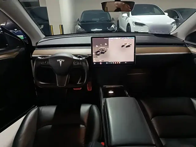 Tesla Model Y — Фото автомобиля 9