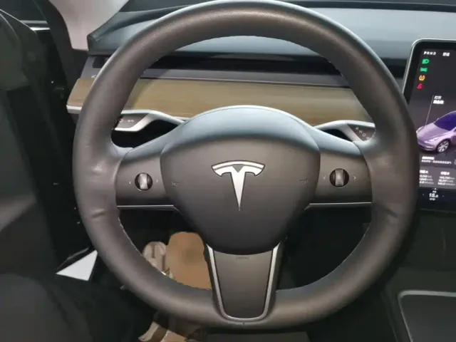 Tesla Model Y — Фото автомобиля 10