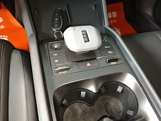BYD Qin L — Фото автомобиля 13