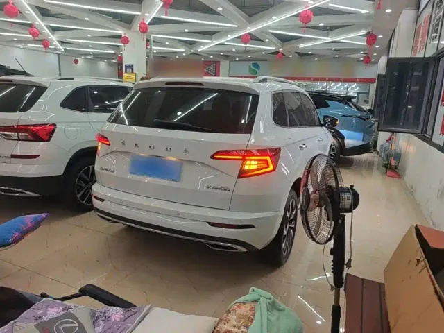 Skoda Karoq — Фото автомобиля 6