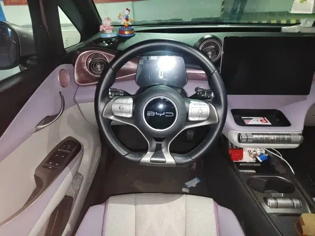 BYD Dolphin — Фото автомобиля 6
