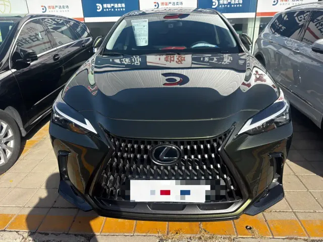 Lexus NX — Фото автомобиля 2