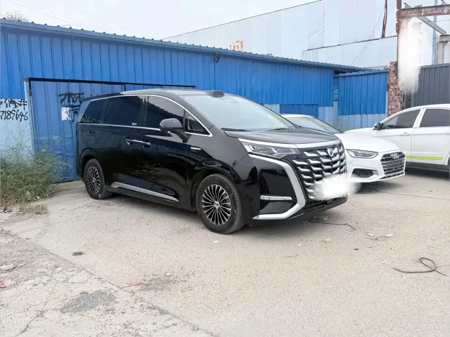 Denza D9 — Фото автомобиля 3