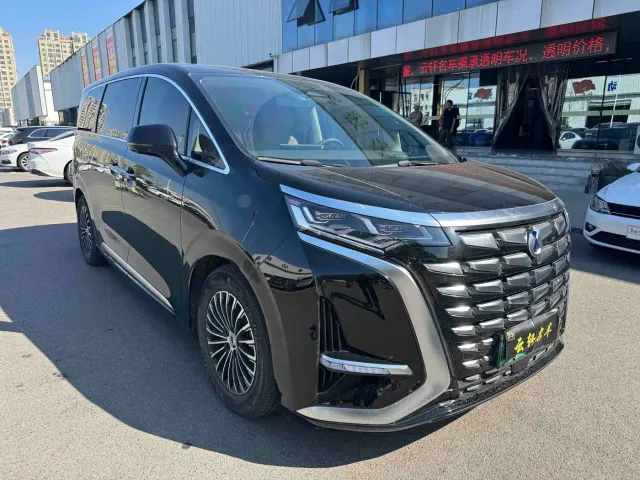 Denza D9 — Фото автомобиля 3