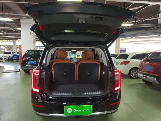 GAC Trumpchi Xiangwang S9 — Фото автомобиля 18