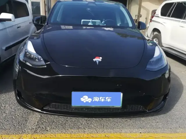 Tesla Model Y — Фото автомобиля 2