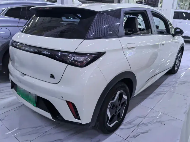 BYD Dolphin — Фото автомобиля 6