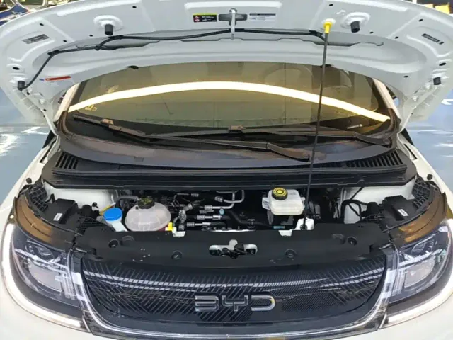 BYD Dolphin — Фото автомобиля 19