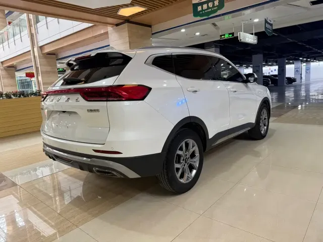 Haval Haval H6 2021 Model National Trend Edition 1.5T Auto Champion — Фото автомобиля 6