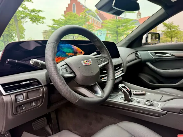 Cadillac CT5 — Фото автомобиля 13