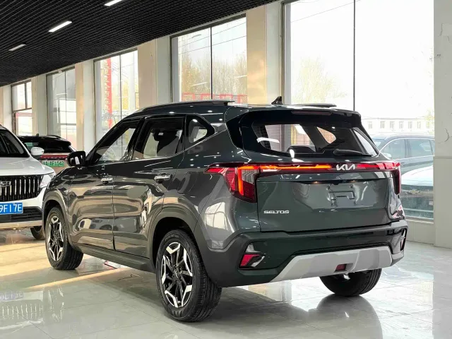 Kia Seltos — Фото автомобиля 11