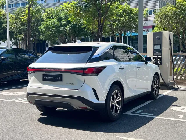 Lexus RX — Фото автомобиля 18