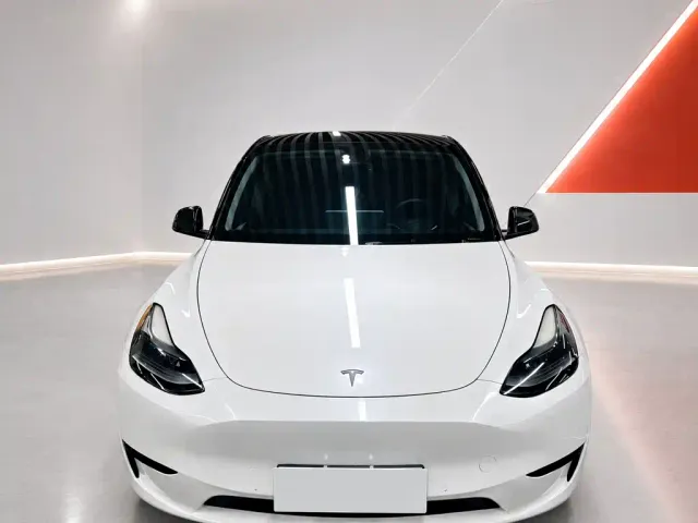 Tesla Model Y — Фото автомобиля 2