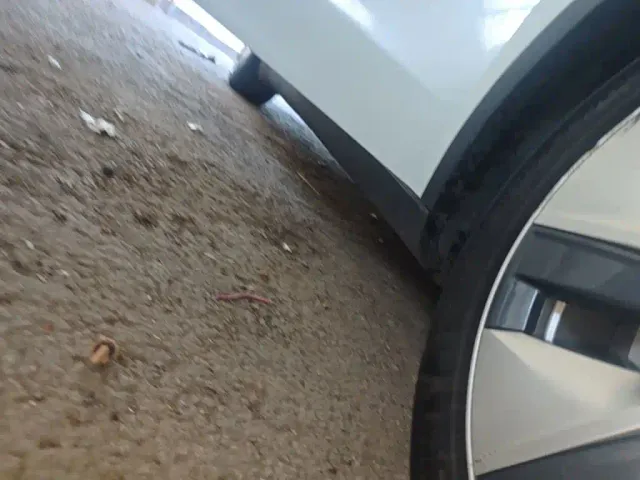 Tesla Model Y — Фото автомобиля 20
