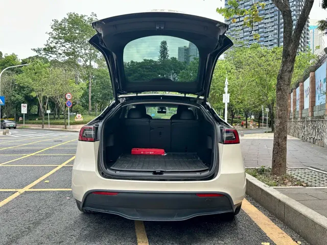 Tesla Model Y — Фото автомобиля 17