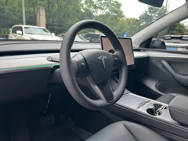 Tesla Model Y — Фото автомобиля 10