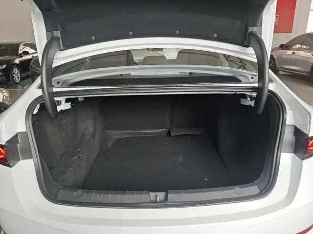 BYD Qin PLUS — Фото автомобиля 18