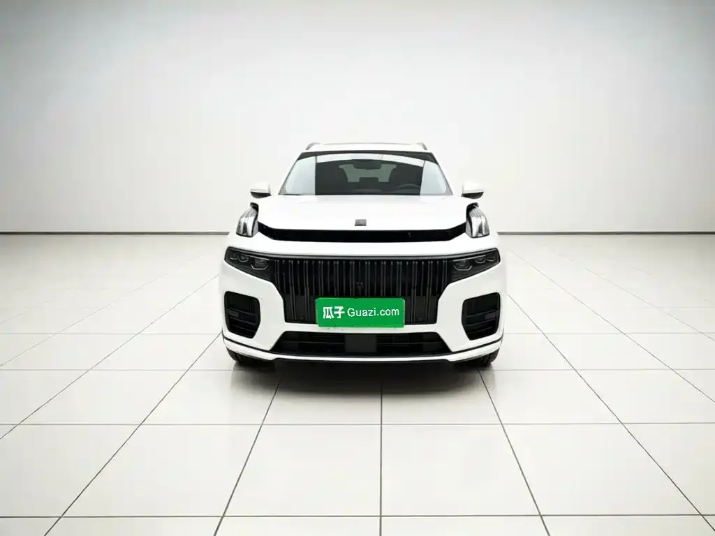 Lynk & Co Lynk & Co 09 EM-P 2021 2.0T PHEV Ultra 7-Seater — Фото автомобиля 2