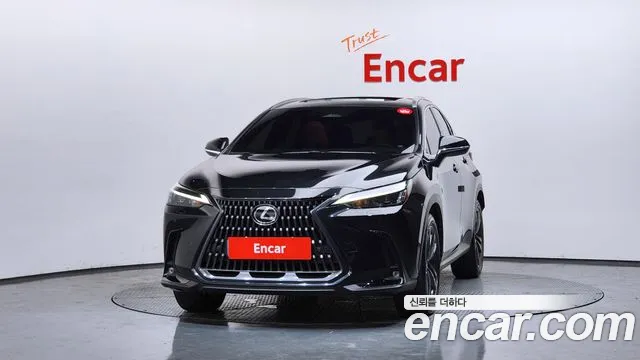 Lexus NX — Фото автомобиля 3