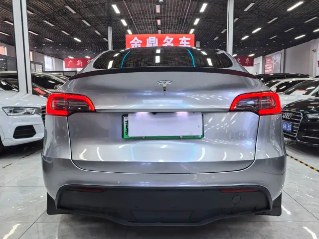 Tesla Model Y — Фото автомобиля 9