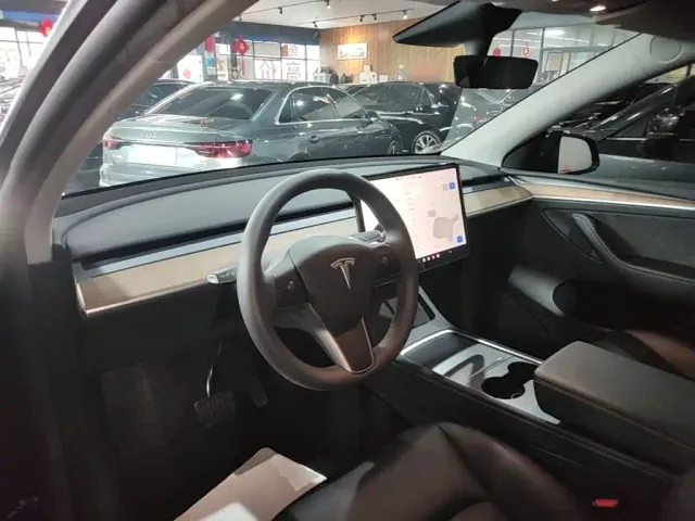 Tesla Model Y — Фото автомобиля 9