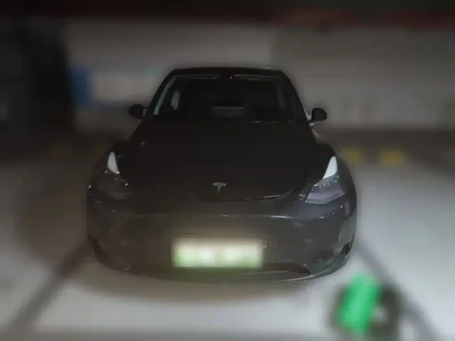 Tesla Model Y — Фото автомобиля 2