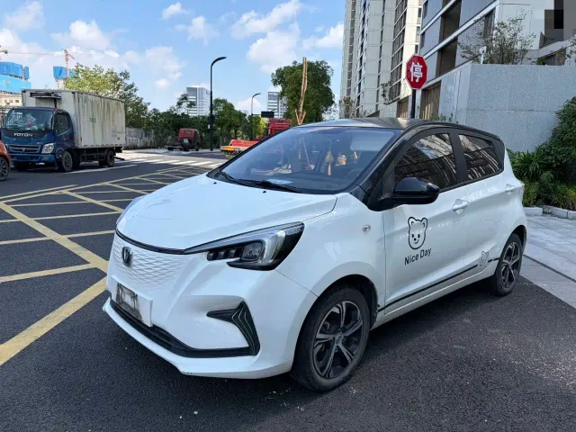Фотография автомобиля — Changan Benben E-Star