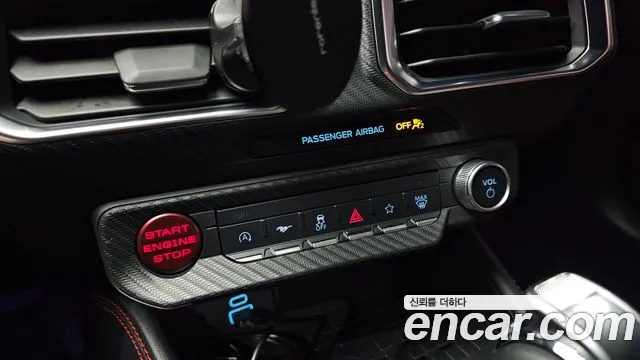 Ford Mustang — Фото автомобиля 19