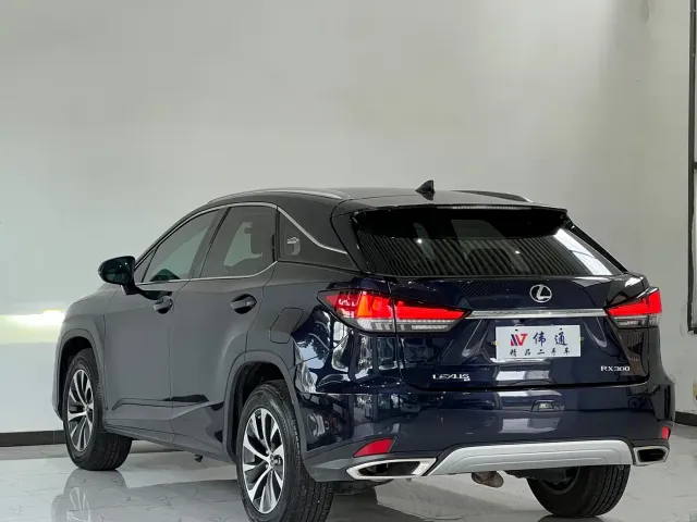 Lexus RX — Фото автомобиля 22