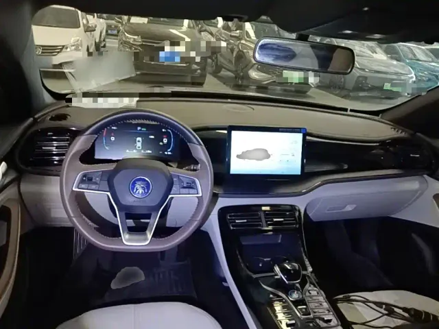 BYD Qin PLUS — Фото автомобиля 9