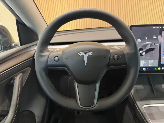 Tesla Model Y — Фото автомобиля 11