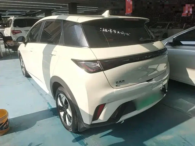 BYD Dolphin — Фото автомобиля 4
