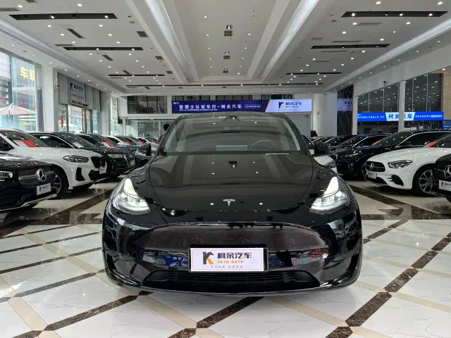 Tesla Model Y — Фото автомобиля 3
