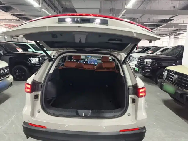 Haval Xiaolong MAX — Фото автомобиля 18