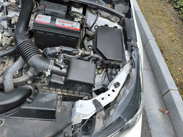Toyota Corolla — Фото автомобиля 21