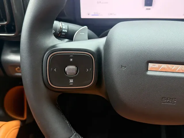 Haval Raptor — Фото автомобиля 14