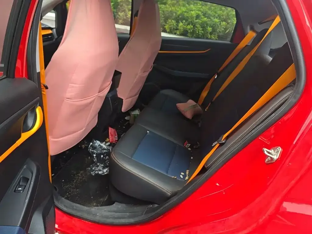 Ruilan Auto Ruilan Auto X3 PRO 2022 1.5L CVT Xiao Sa — Фото автомобиля 16