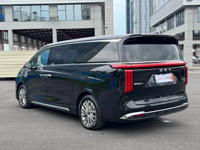 Wey Alpine — Фото автомобиля 15