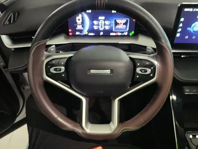 Haval H6 — Фото автомобиля 10
