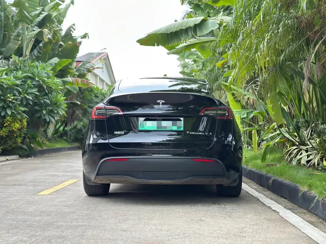 Tesla Model Y — Фото автомобиля 4