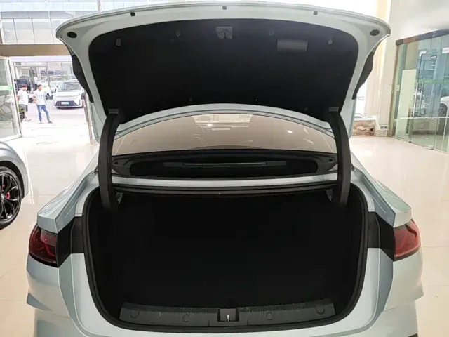 BYD Qin L — Фото автомобиля 18