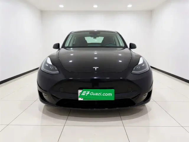 Tesla Model Y — Фото автомобиля 2