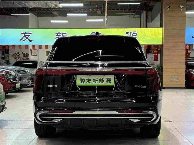 Hongqi E-HS9 — Фото автомобиля 12