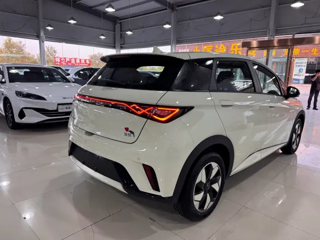 BYD Dolphin — Фото автомобиля 4