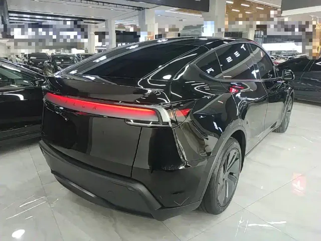 Tesla Model Y — Фото автомобиля 6