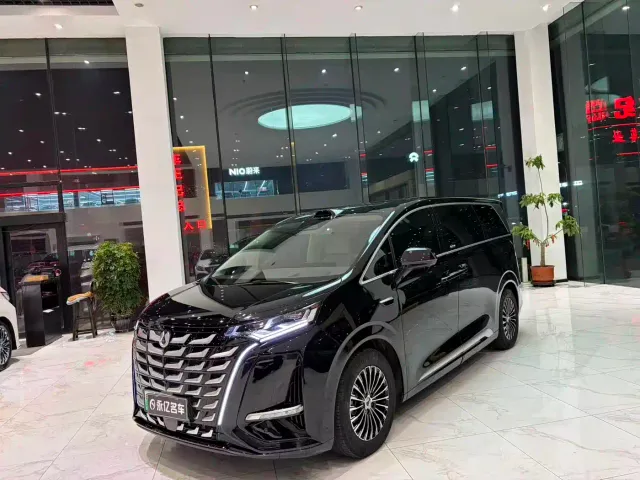 Фотография автомобиля — Denza D9