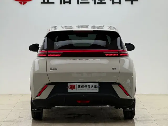 BYD Seagull — Фото автомобиля 23