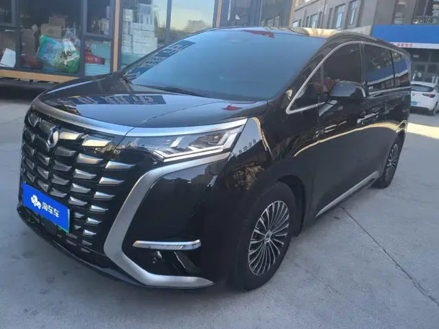 Фотография автомобиля — Denza D9
